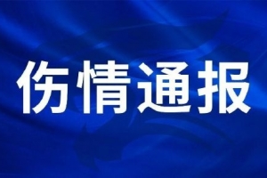 挪威vs英格兰直播_世界杯挪威vs英格兰直播_挪威vs英格兰免费在线直播