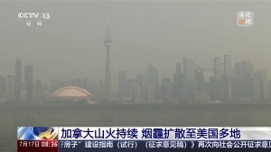 世界杯直播_世界杯直播免费在线观看_世界杯直播免费高清观看