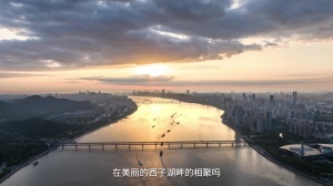 足球直播_足球直播免费在线观看_足球直播在线观看免费高清