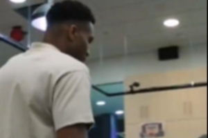 蜘蛛直播-蜘蛛直播nba高清无插件_蜘蛛直播nba免费高清现场转播