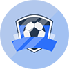 阿纳格尼城